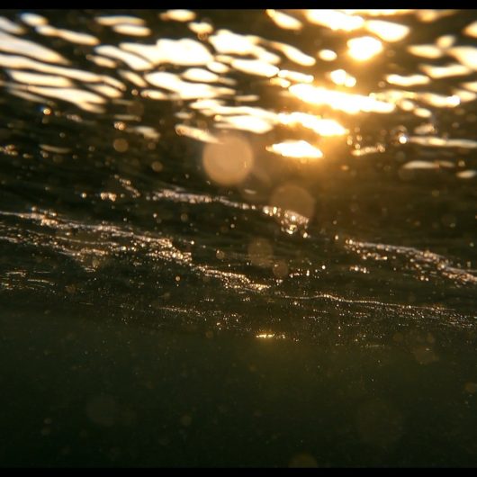 210250038_517797616034099_6094605739959814792_n